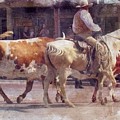 Get Along Big Longhorns 