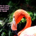 Why Fit In
